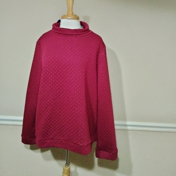NWT Plus Size Sweater - Picture 1 of 3